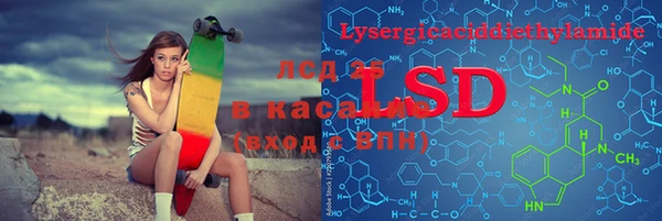 индика Верхний Тагил