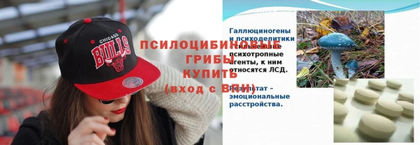 ГАЛЛЮЦИНОГЕННЫЕ ГРИБЫ Волоколамск