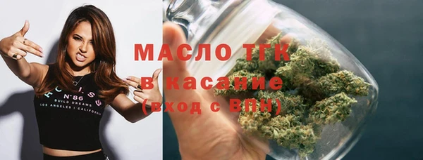 индика Верхний Тагил