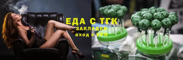 индика Верхний Тагил