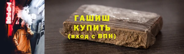 прущие грибы Верея
