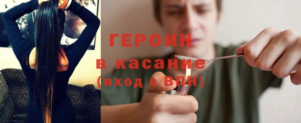 прущие грибы Верея