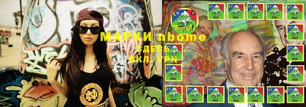 прущие грибы Верея