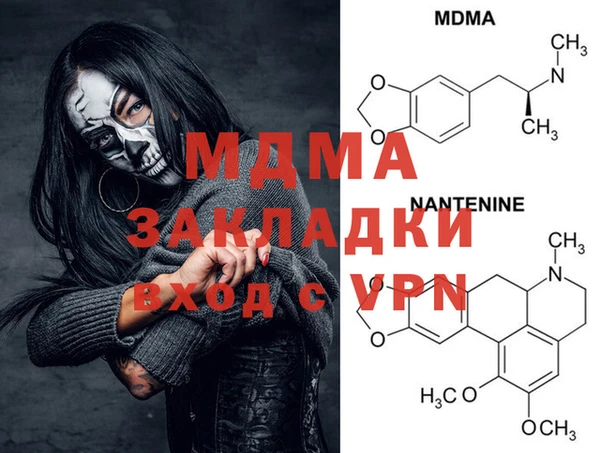 прущие грибы Верея