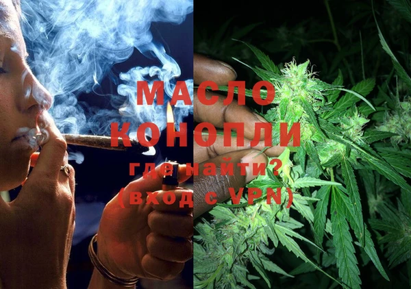 прущие грибы Верея