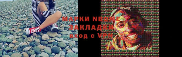 прущие грибы Верея