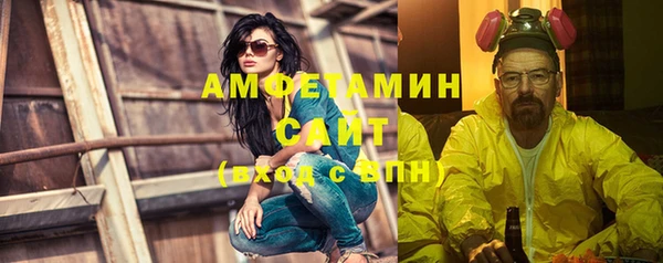 прущие грибы Верея