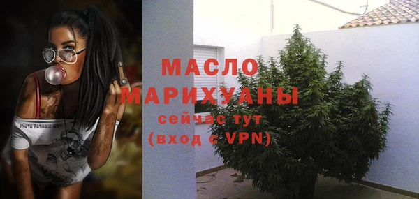 индика Верхний Тагил